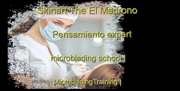 Skinart The El Madrono  Pensamiento expert microblading school | MicrobladingTraining | MicrobladingClasses | SkinartTraining-Mexico